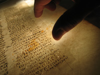 Conservator analysing text lines on a Codex leaf.