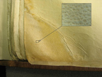 Follicle marks
