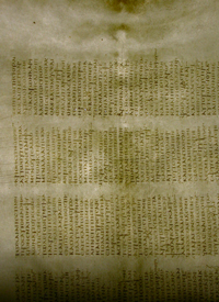 Detail showing a skeletal parchment feature on Quire 41 folio 4 recto