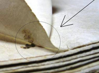 Fore edge squiggle in Quire 40, 6r (British Library f.26r))